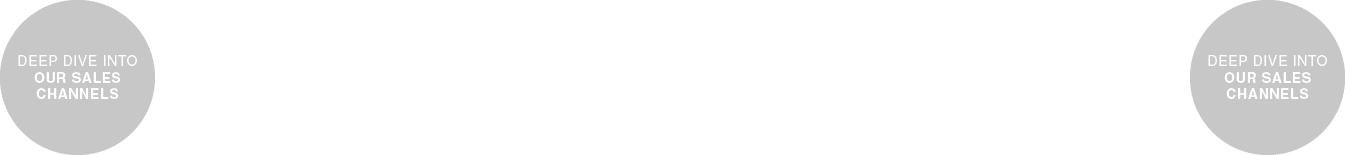 DEEP DIVE INTO our sales channels,DEEP DIVE INTO our sales channel